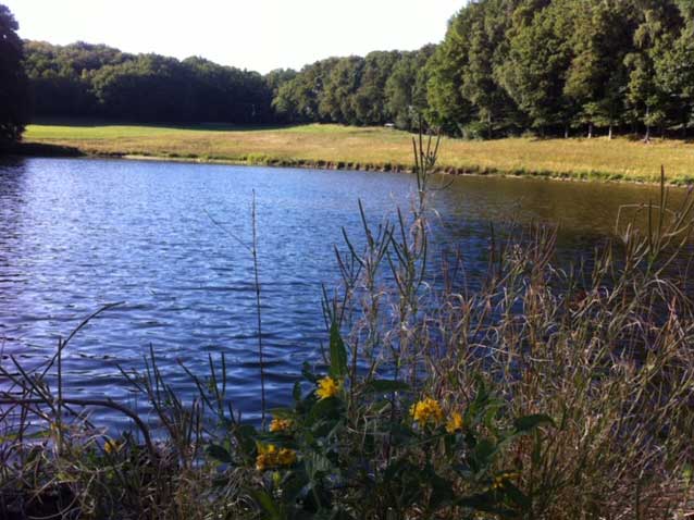 etang dans le cantal