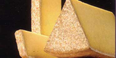 fromage auvergne