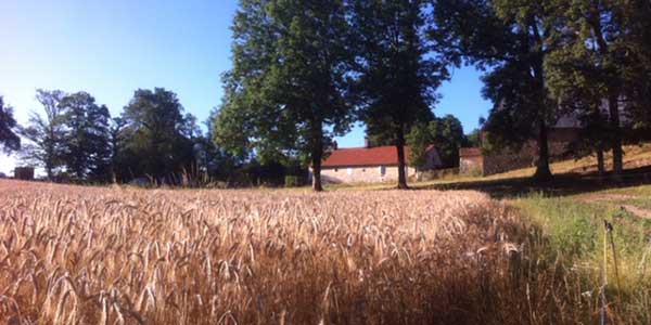 campagne cantal